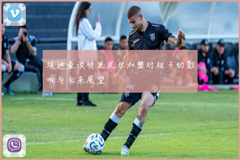 埃迪豪谈特里皮尔加盟对纽卡的影响与未来展望